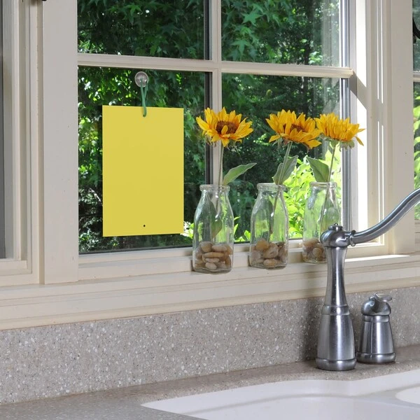 Black & Decker Fly Traps Dual Sided, 40 Pack Sticky Traps - Image 3